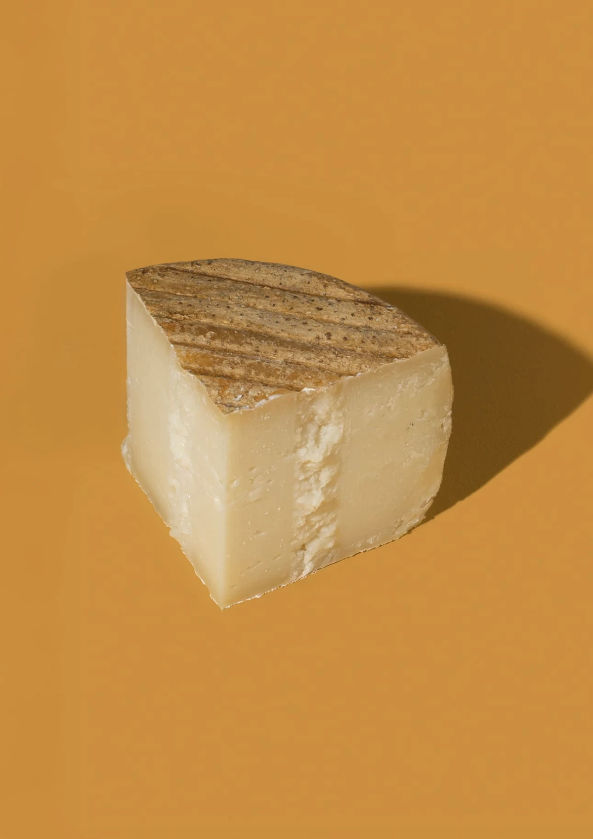 pecora-pecorino-dello-zio.jpg