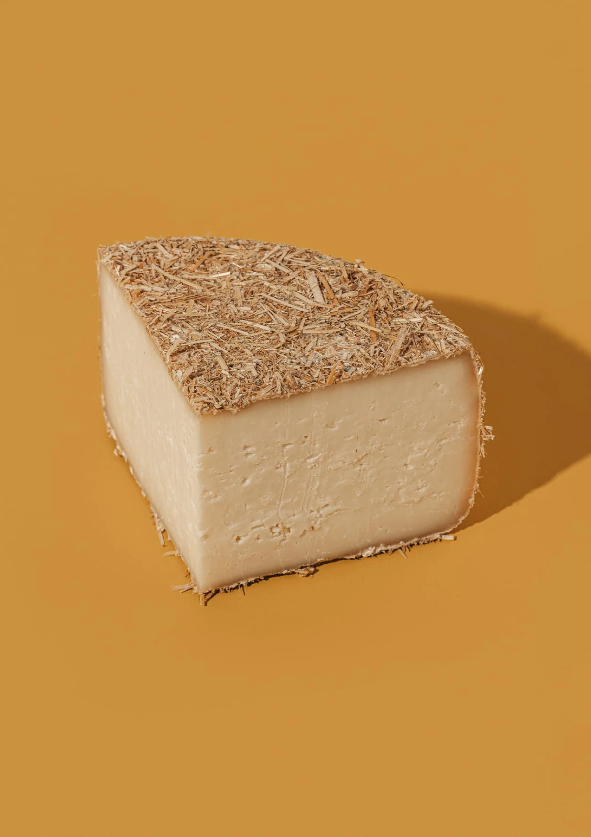 pecora-pecorino-nel-fieno.jpg