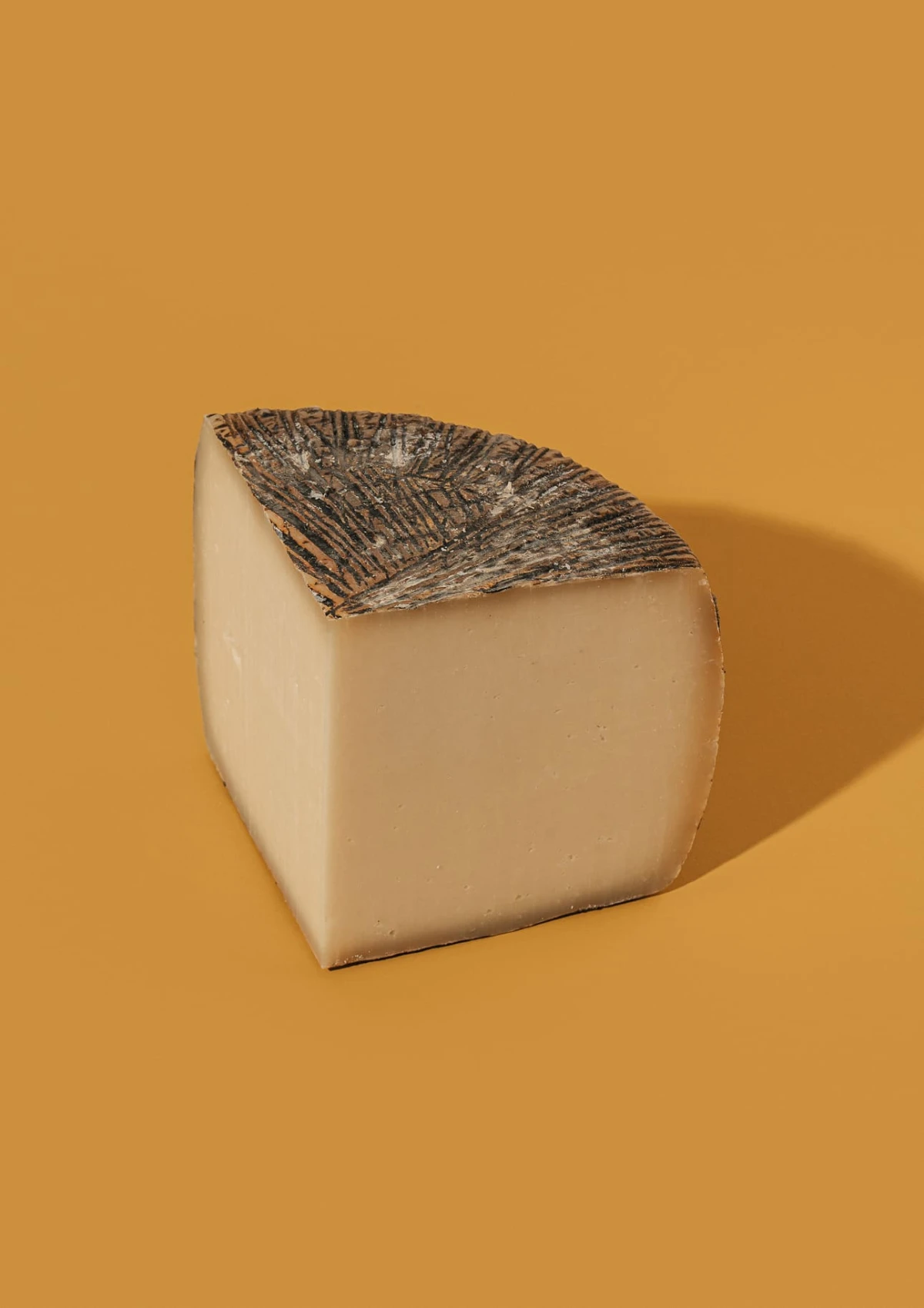 pecora-pecorino-su-entu.jpg